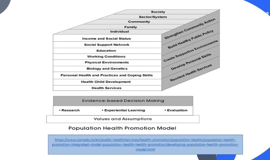 what is the population health promotion model?