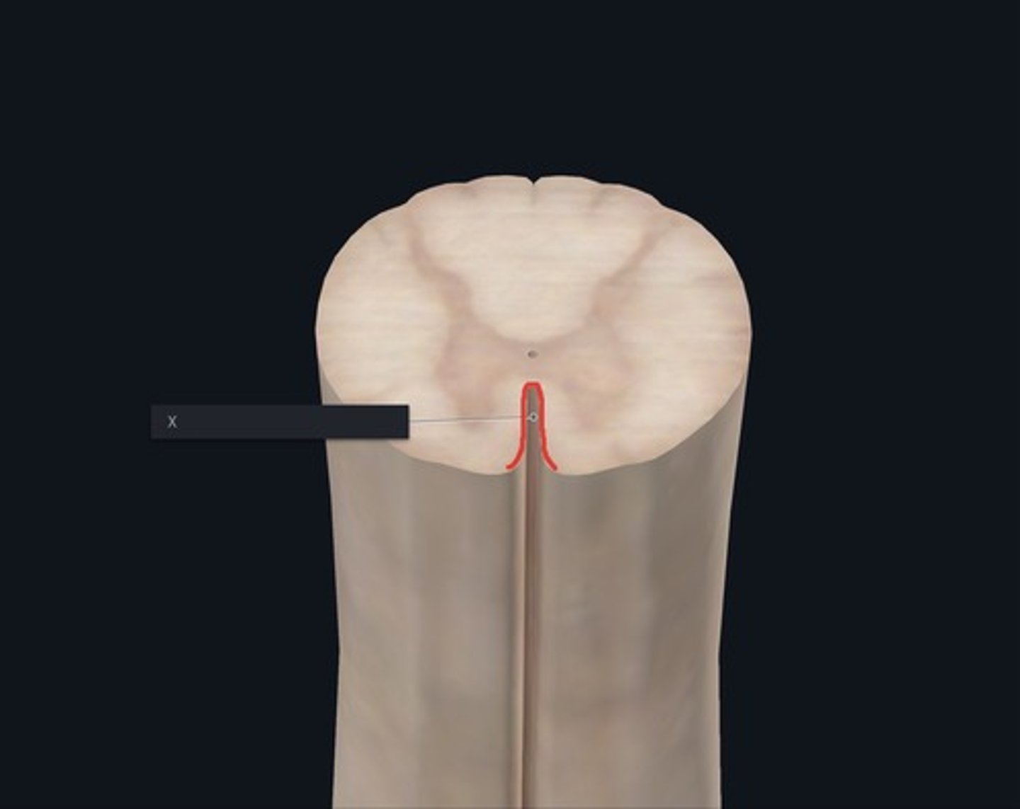 <p>Name the landmark indicated by the X and outlined red.</p>