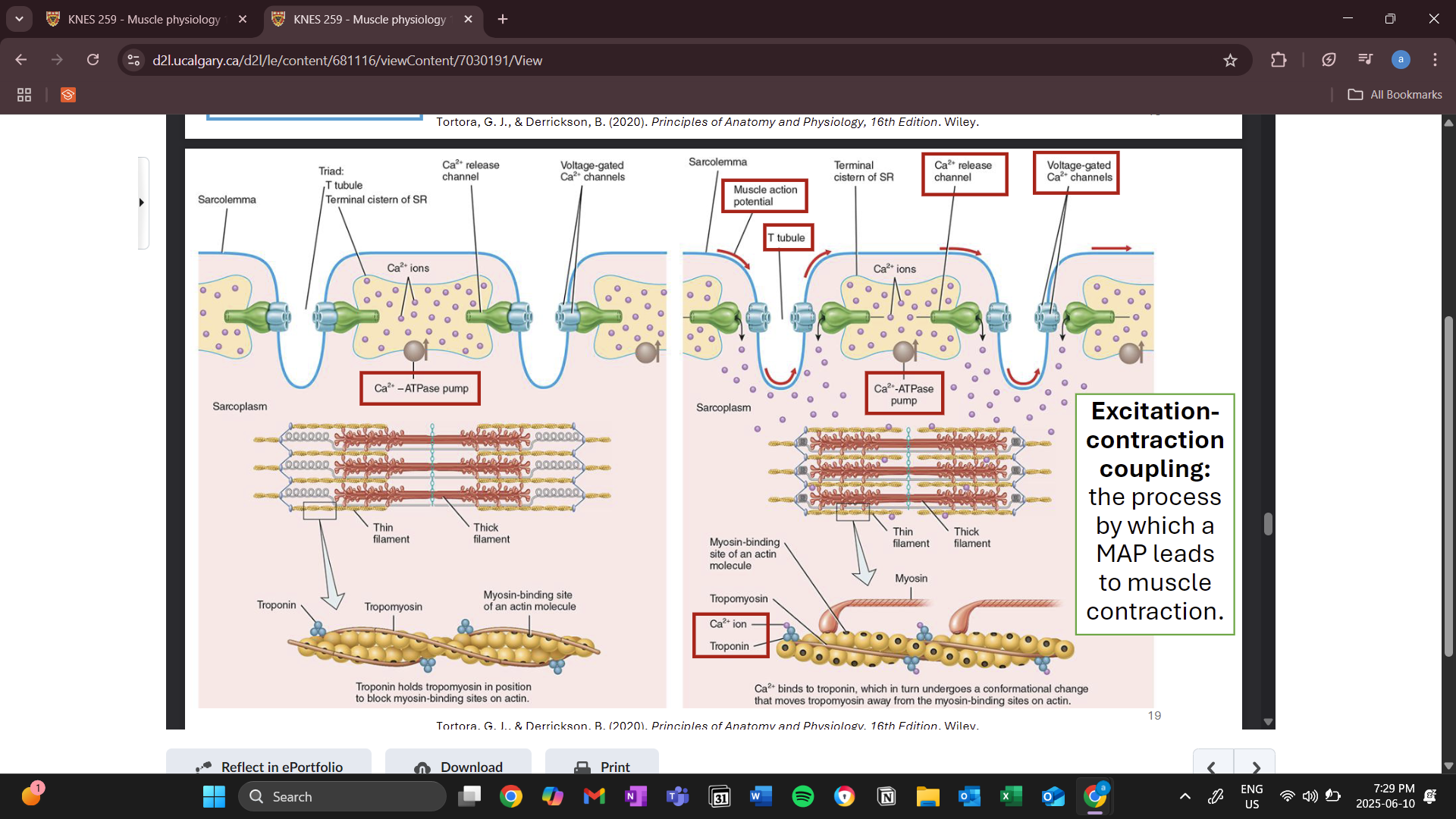 knowt flashcard image