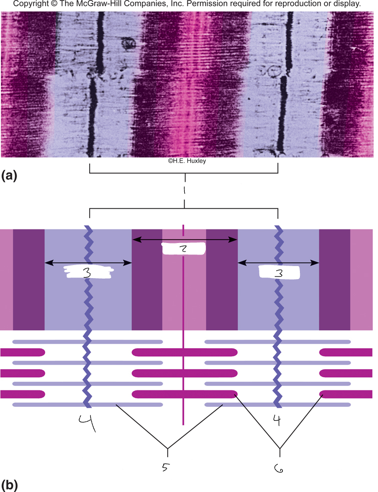 <p>What is number 1</p>