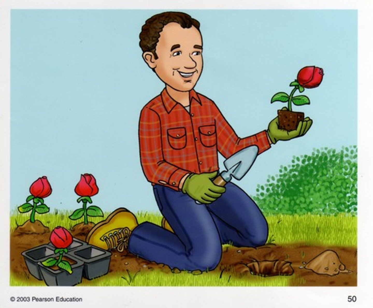 <p>to plant flowers</p>