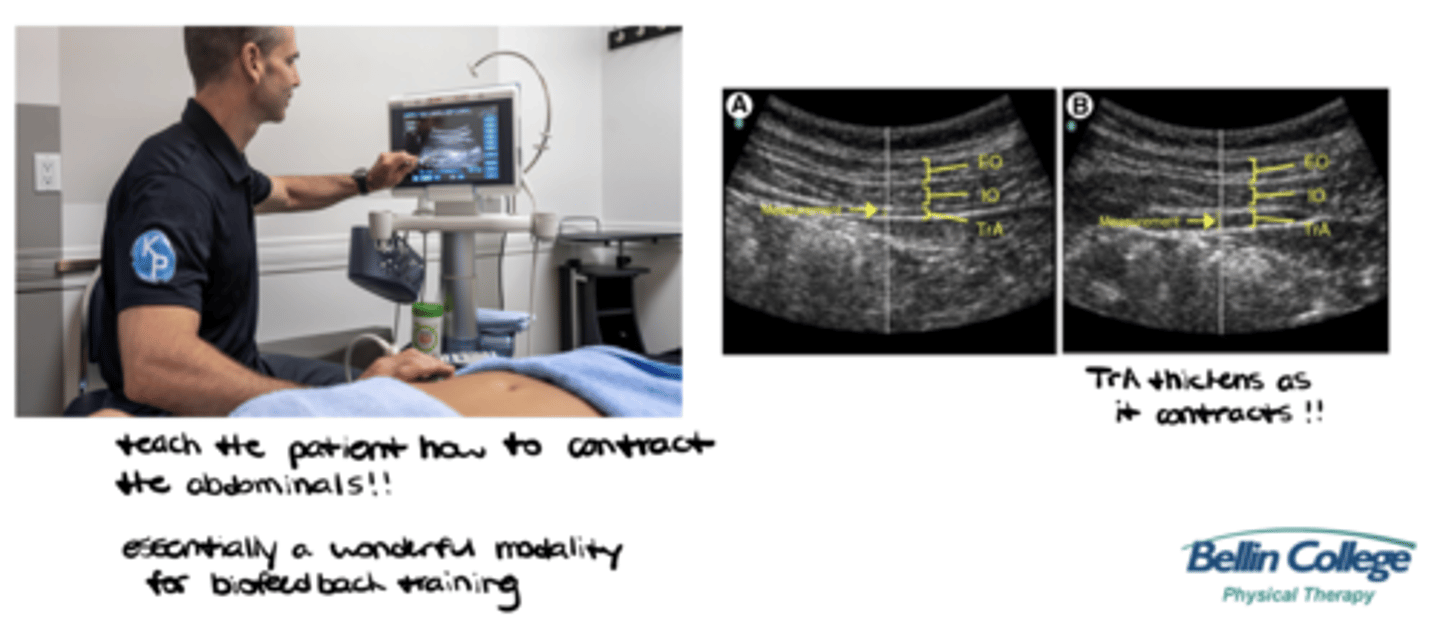 <p>Rehabilitative (evaluate muscle and other soft tissue structure and function during physical tasks)</p>