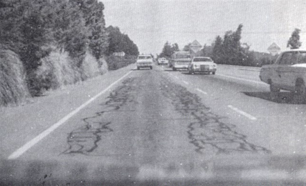 <p>series of interconnecting cracks caused by fatigue failure in BASE under REPEATED traffic LOADING, cracks propagate to surface</p>