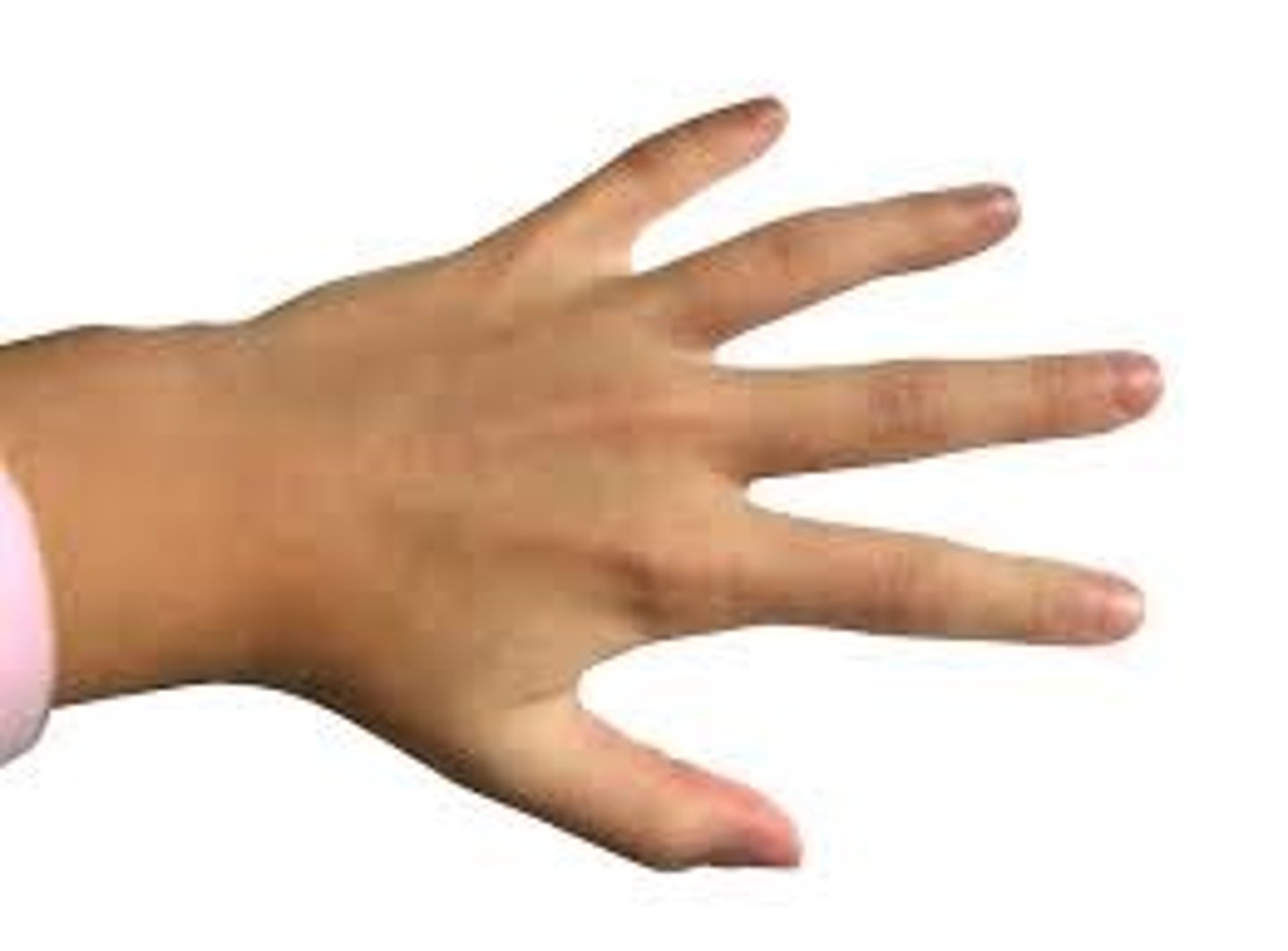 <p>back of the hand</p>
