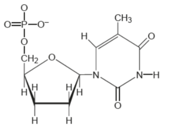 <p>What is the identity of this molecule?</p>