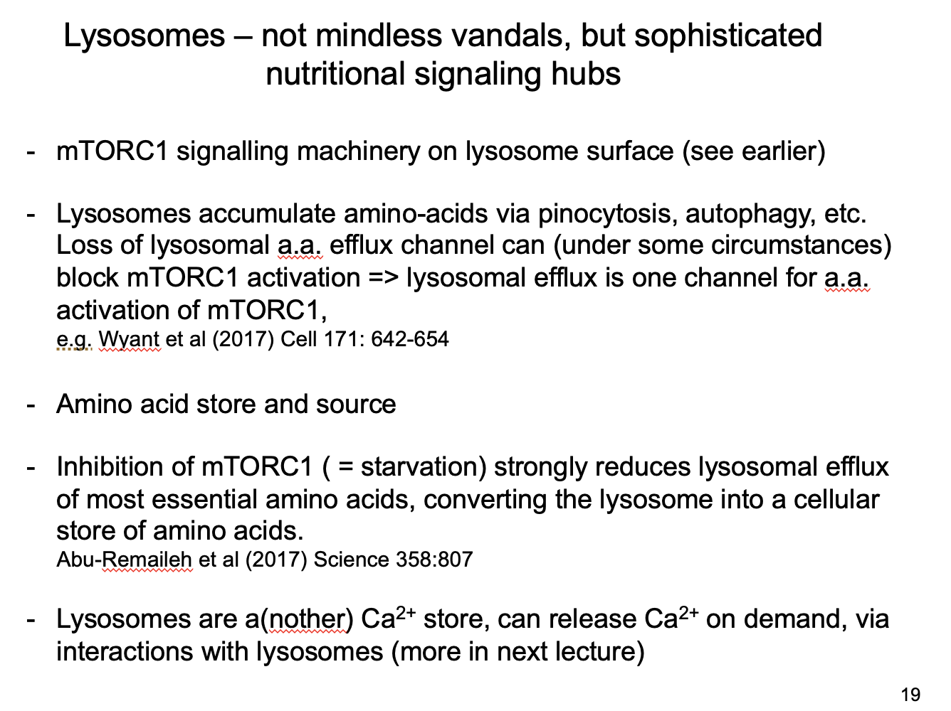 <ol><li><p>Protein degradation (aminio acid source)</p></li><li><p>Amino acid store</p><ul><li><p>linking store with cell nutritional status→ mTORC1 signalling</p></li><li><p>highly localised store for used for protein synthesis</p></li></ul></li><li><p>A Ca2+ store</p><ul><li><p>can release Ca2+ on demand</p></li><li><p>via interactions with lysosomes (see next lecture)</p></li></ul></li></ol><p></p>