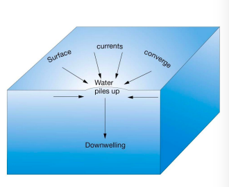 * Surface waters move toward each other
* Water piles up
* Low biological productivity
