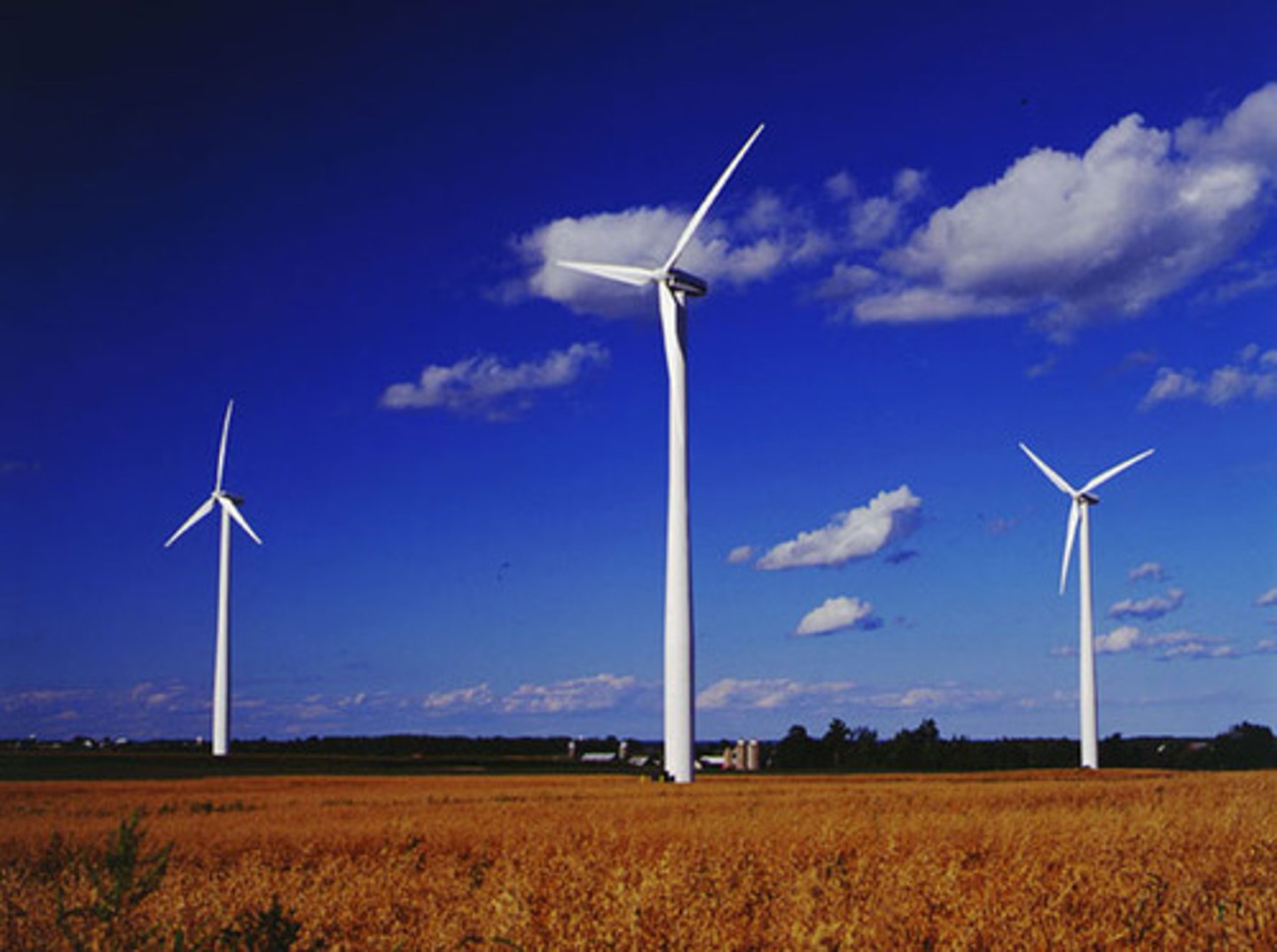 <p>la energía obtenida del viento</p>