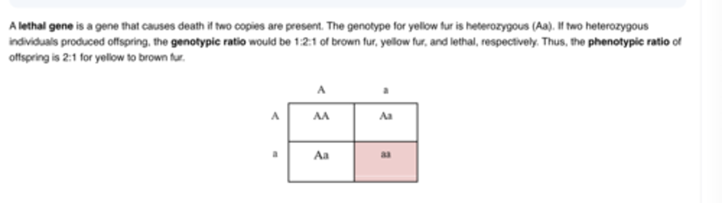 <p>B.2:1</p>