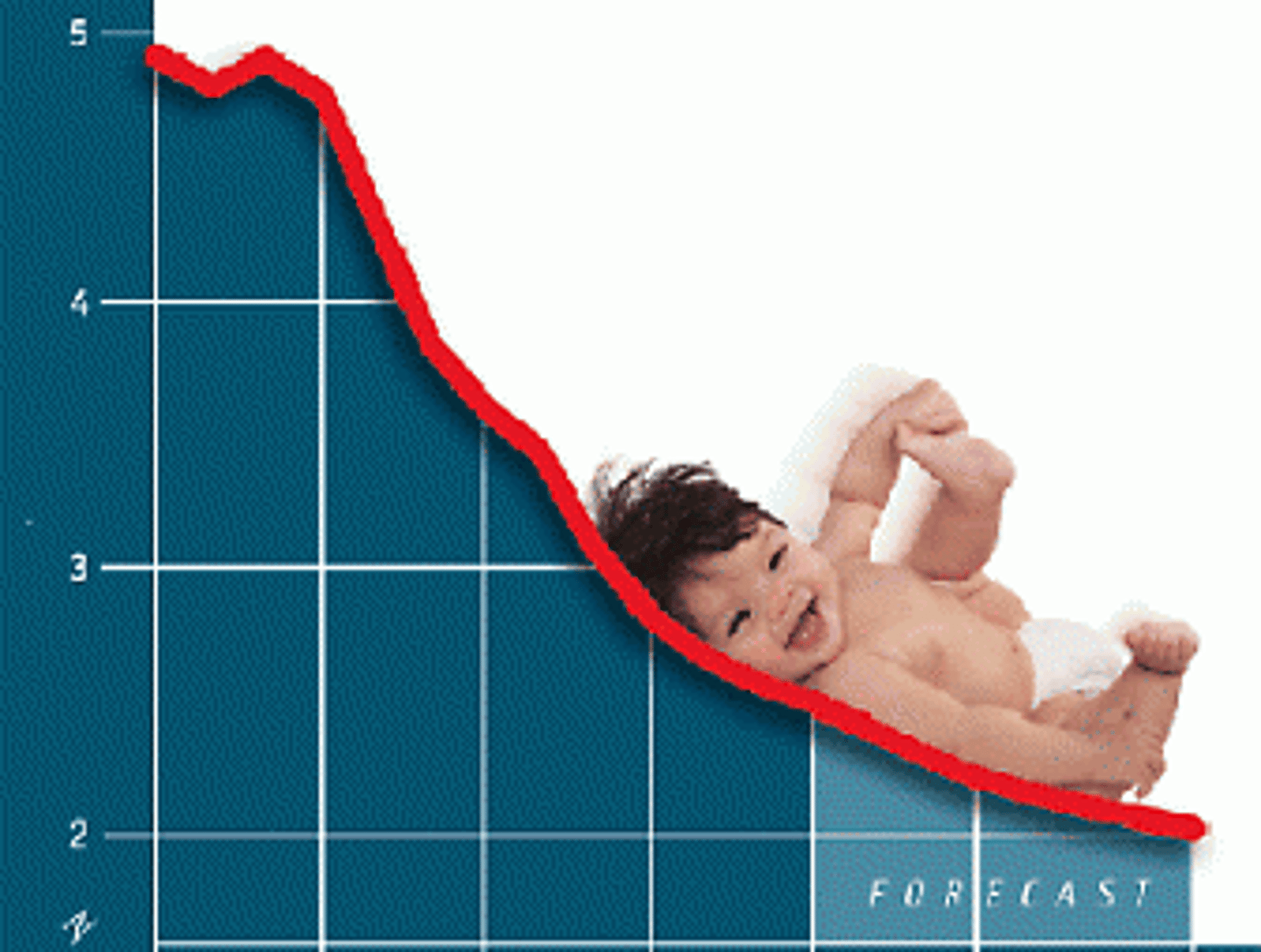 <p>The rate at which individuals in a population are born.</p>