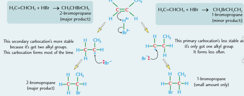 <ul><li><p>carbocations with more alkyl groups are more stable because the aklyl groups feed electrons towards the positive charge</p></li><li><p>The more stable cation is more likely to form</p><p>least stable → most stable</p><p>primary → secondary → tertiary</p></li></ul><p></p>