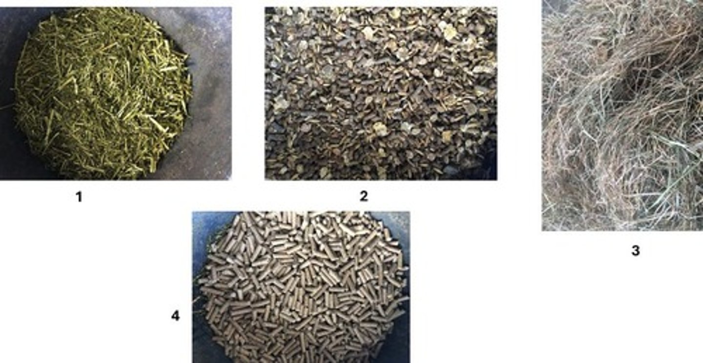 <p>Includes hay, grains, and supplements for horses.</p>
