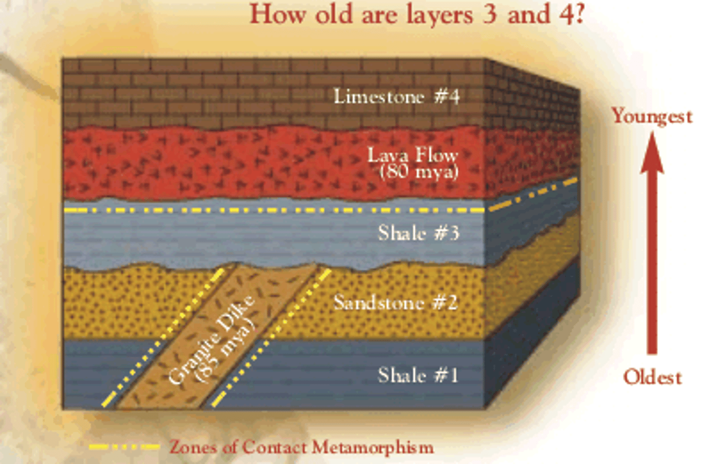 <p>in undeformed stratigraphic sequence, the <strong>oldest</strong> layer of sedimentary rock will be at the <strong>bottom</strong> &amp; <strong>youngest</strong> layer will be at the <strong>top</strong></p><p><u>How to tell which way is up?</u></p><ul><li><p>Cross-bedding</p></li><li><p>Ripples - has wave look that flows in specific direction</p></li><li><p>Mudcracks - grooves filling sediment point down</p></li><li><p>Graded bedding</p></li><li><p>Flame structure - grooves point upwards</p></li></ul>