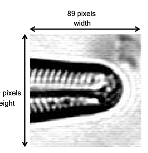 <p>in microscopy, these are set during acquisition by the physical width and height of a camera sensor size, or by determining the scan dimensions for raster scanning confocal systems</p>
