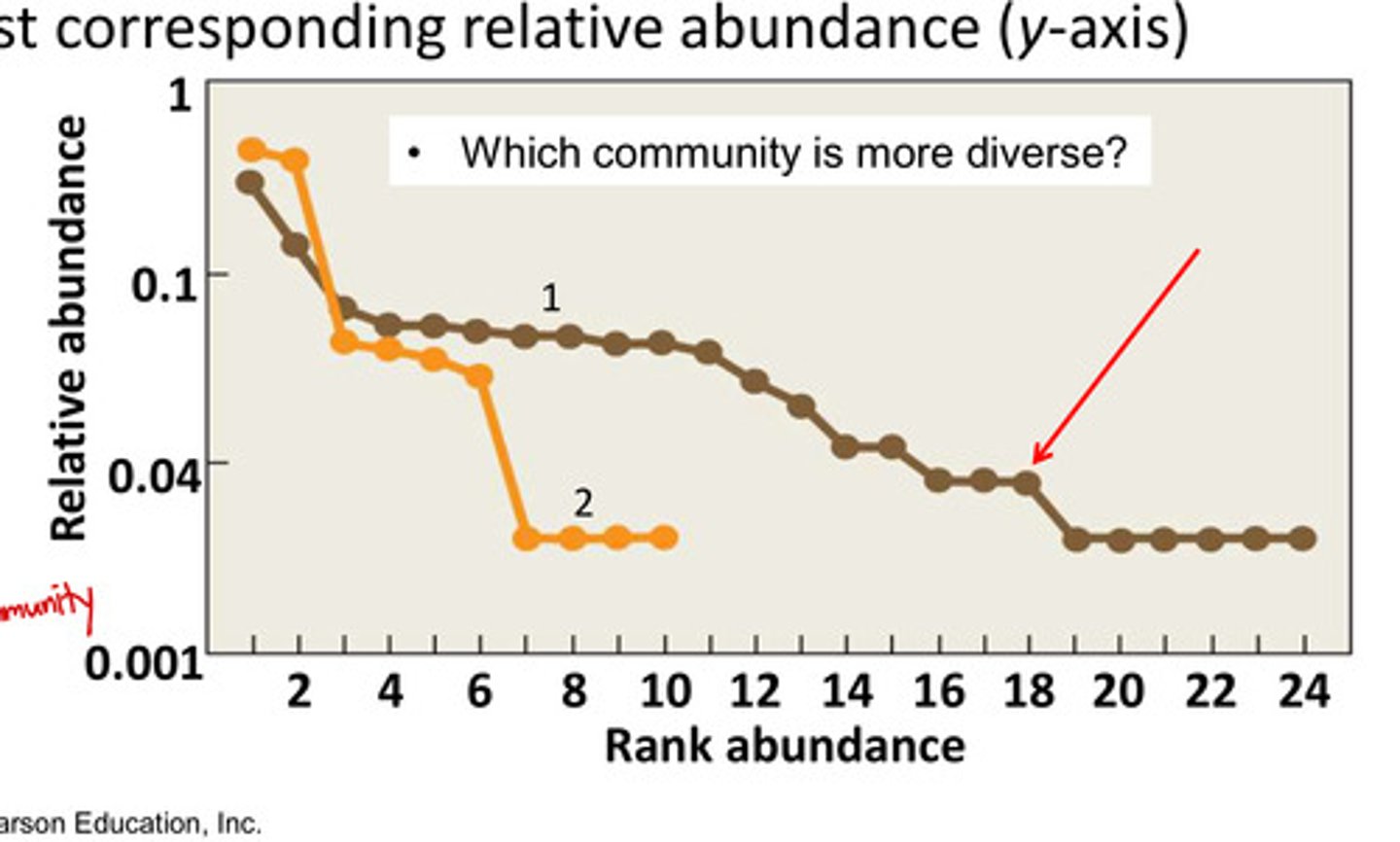 <p>- longer the curve = greater the species richness</p><p>- more gradual the slope = greater the species evenness</p>