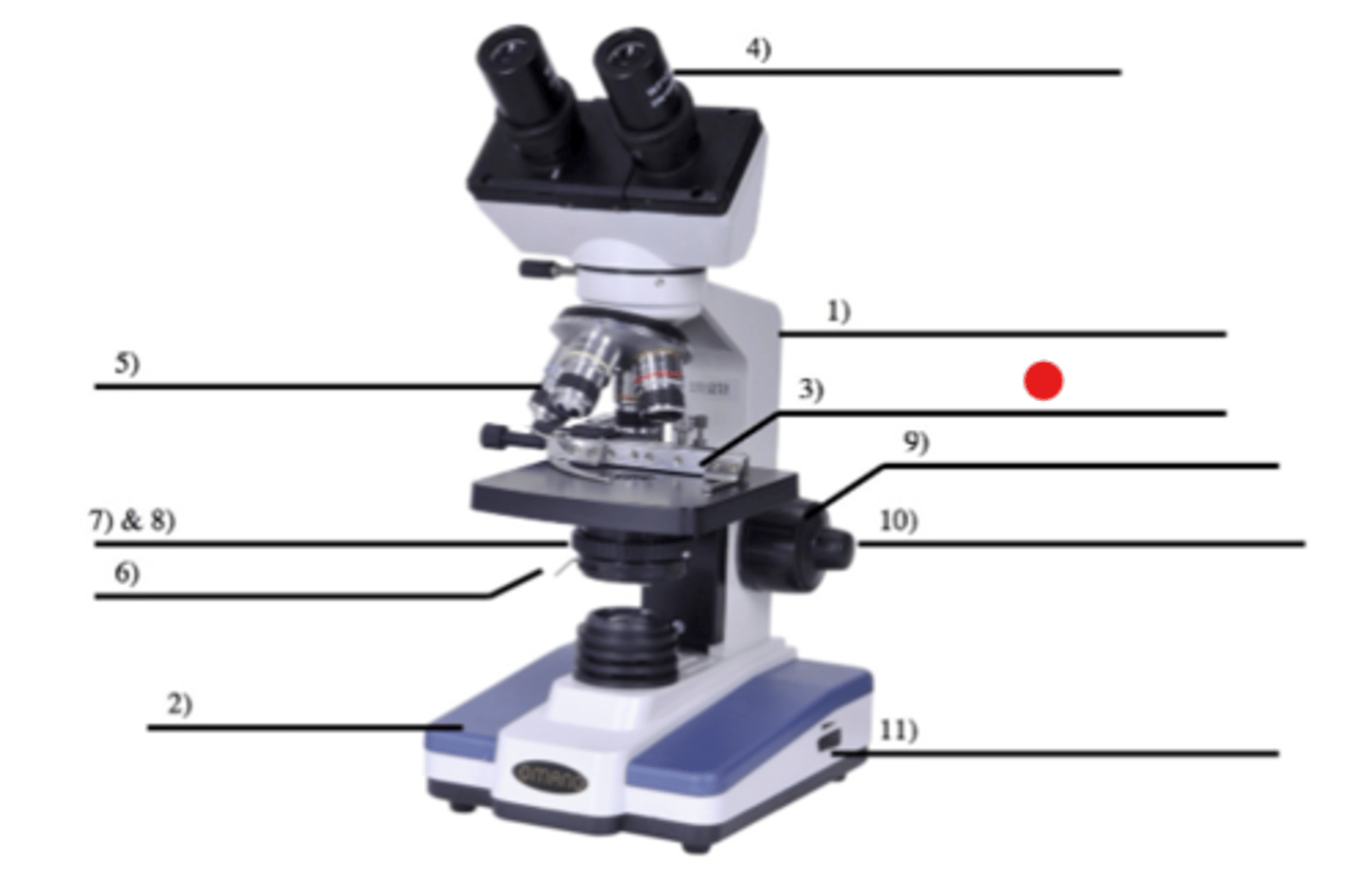 <p>3</p><p>- It's the platform on which microscope slides are placed</p>
