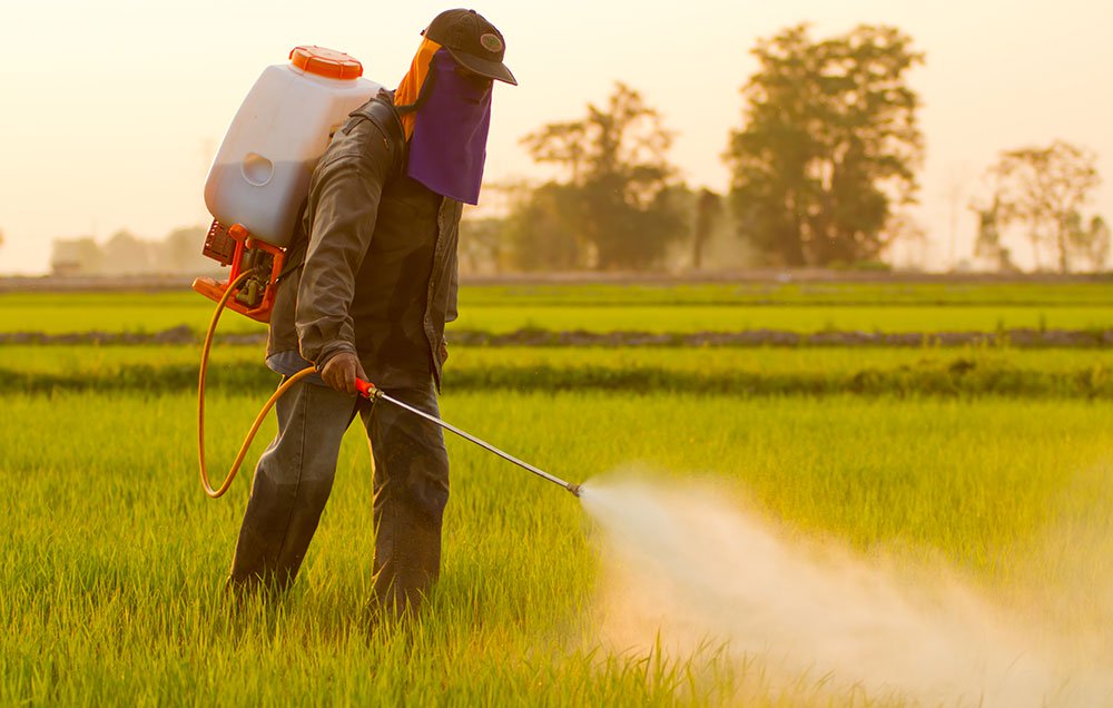 <p>Pesticide</p>