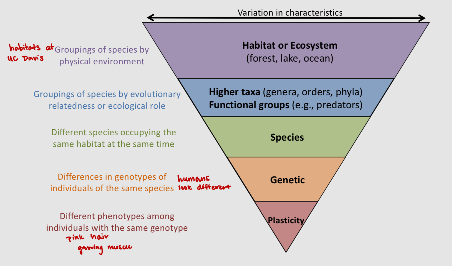 <p>the variety of life on earth</p>