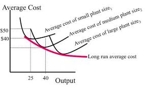 <p>the firm experiences productive efficiency at high output, therefore are likely to become larger</p>