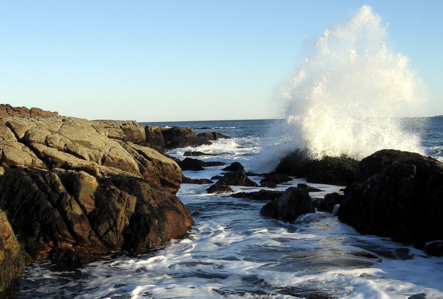 <p><strong>TYPES OF COASTS:</strong></p><p><span style="font-size: medium">coastlines that have <strong>experienced recent tectonic uplift as a result of either active tectonic processes</strong>;</span></p><p><span style="font-size: medium">this may occur anywhere where wave action has not had time to lower the coastline to sea level</span></p>