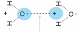 <p>When two of the Same molecules form hydrogen bonds with each other this is called ________. </p>