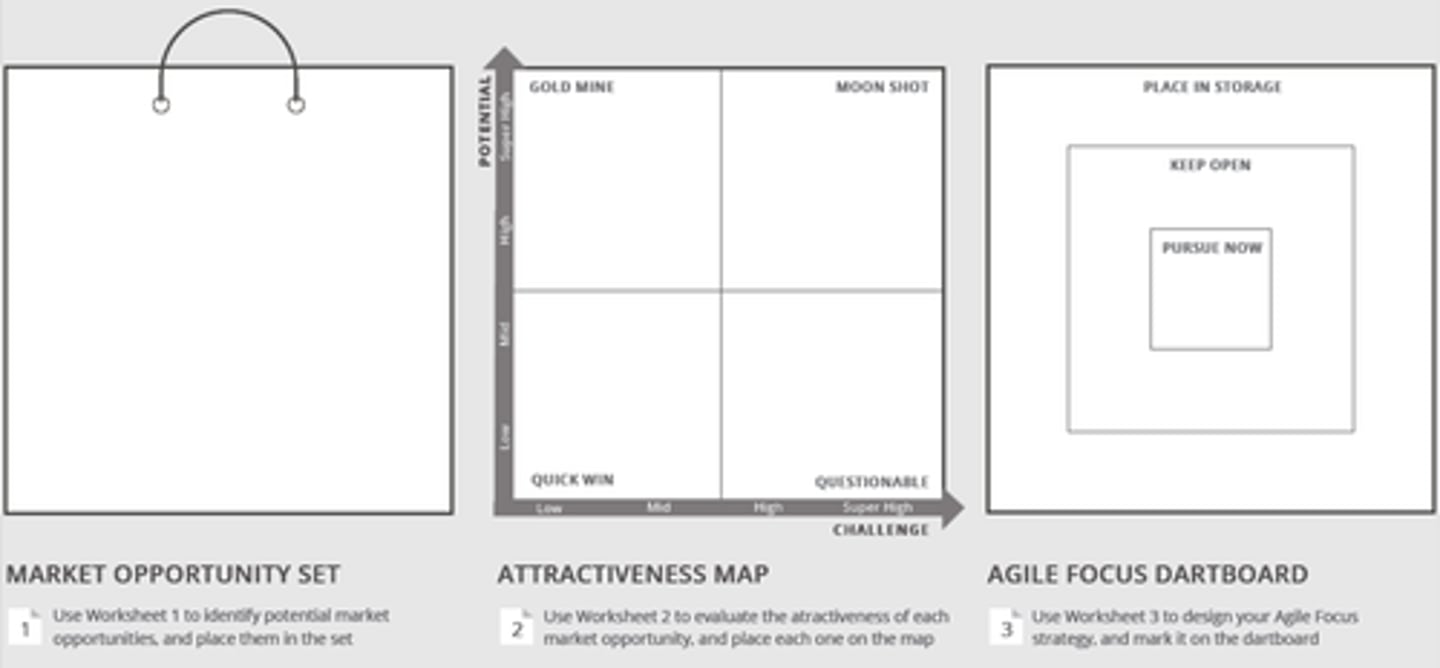 <p>1. Search broadly, generate your market opportunity set</p><p>2. Assess deeply, create your attractiveness map</p><p>3. Strategize smartly, create your agile focus</p>