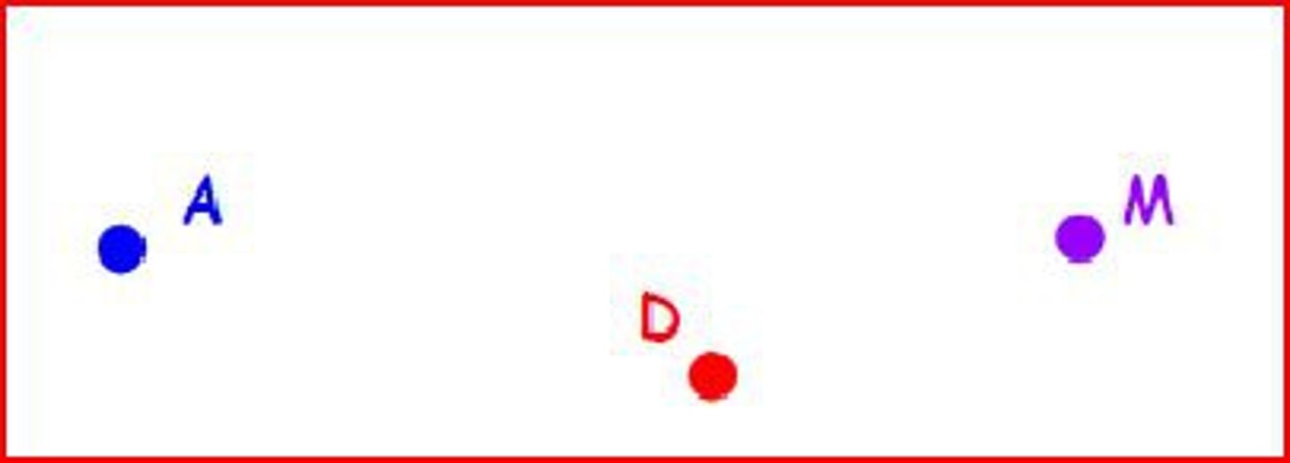 <p>The exact location in space represented by a dot.</p>