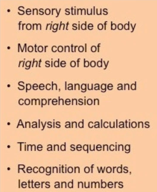 Verbal competence