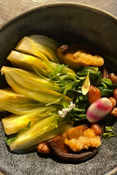 <p>Shanghai Paksoi</p>