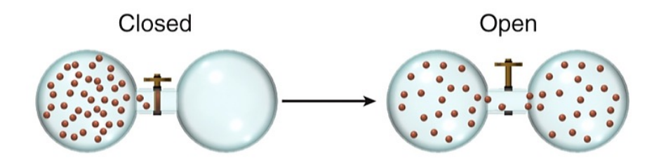 <p>What is the ∆S<sub>surr</sub> of a irreversible free isothermal expansion (p<sub>ex</sub> = 0)</p>