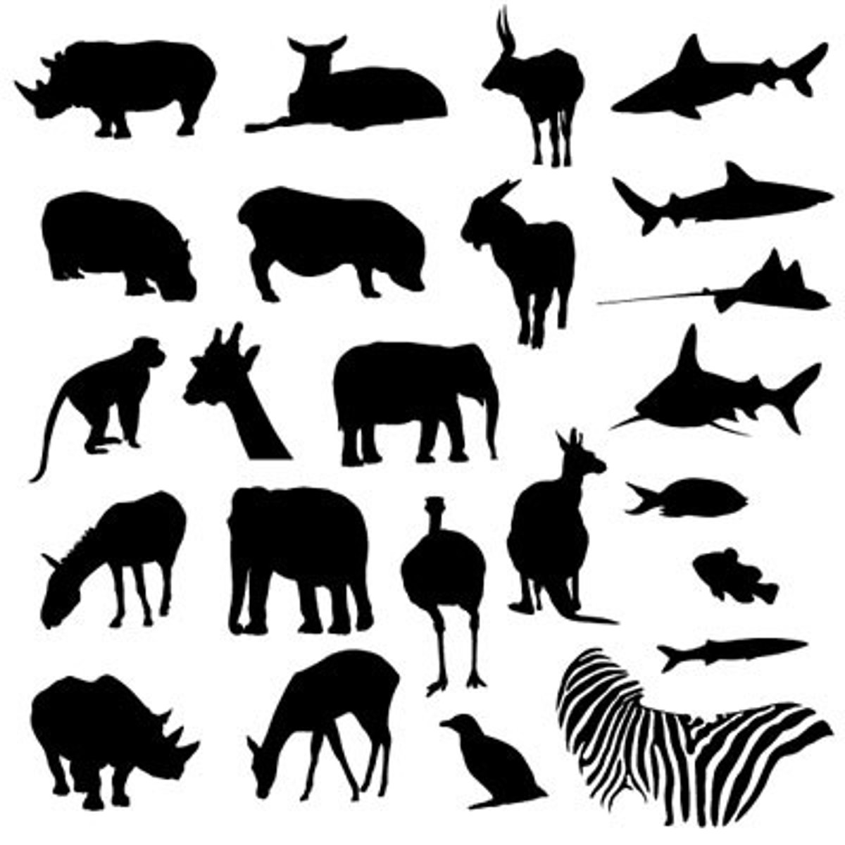 <p>how many animal</p>