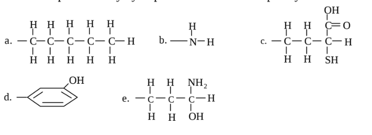 Which of the groups below is capable of only hydrophobic interactions? Explain your answer.
Which is capable of only hydrophilic interactions? Explain your answer.

\

