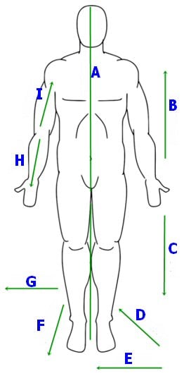 <p>Inferior</p>