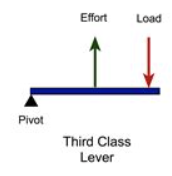 <p>When the effort is applied between the load and the fulcrum. E.g. lifting a dumbell.</p>