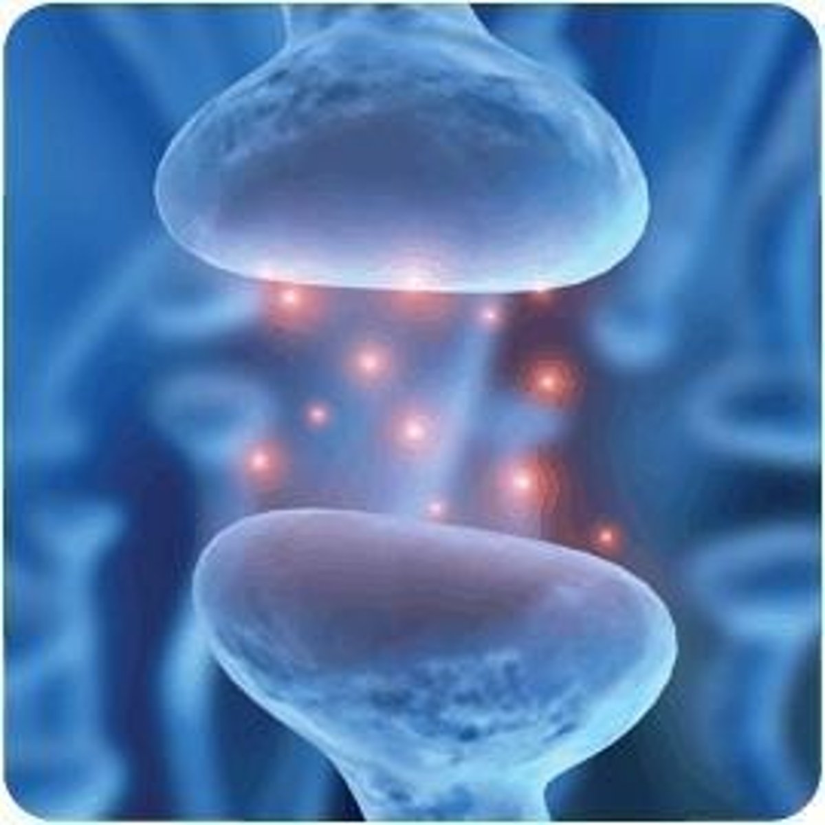 <p>Space between two neurons.</p>