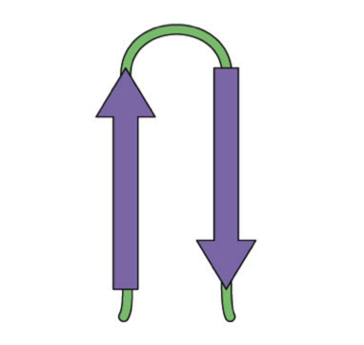 <p>A motif with two beta strips together</p>