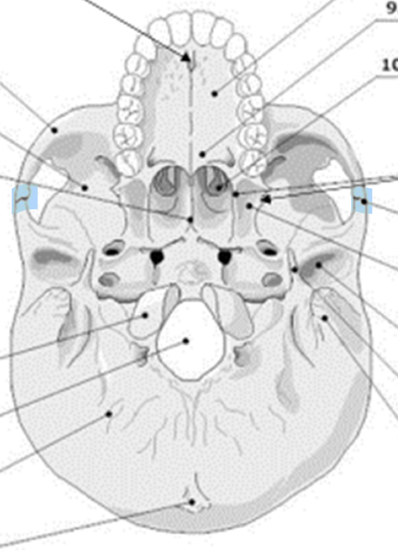 knowt flashcard image