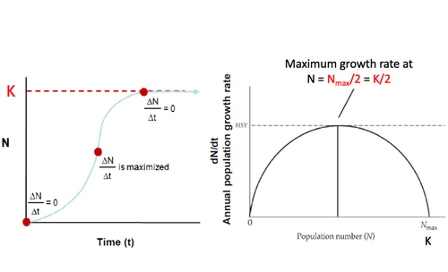 <p>The maximum amount harvestable that does not Compromise the future</p>