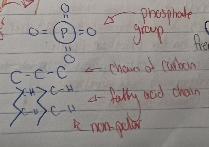 <p>What is this form?&nbsp;</p>