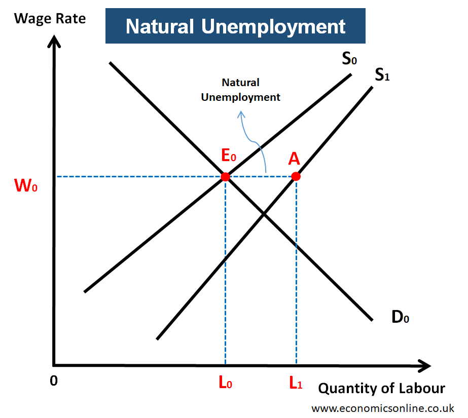 <p>There is a difference between the registered labour force (A) and the actual supply of labour (E). </p>
