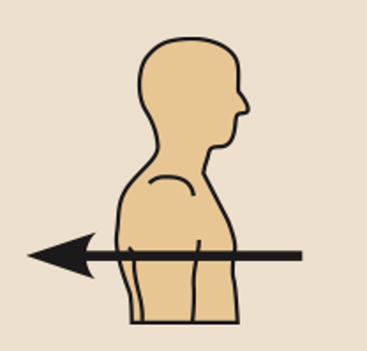 <p>the heart is _____ to the breastbone</p><p>toward or at the back of the body; BEHIND</p>