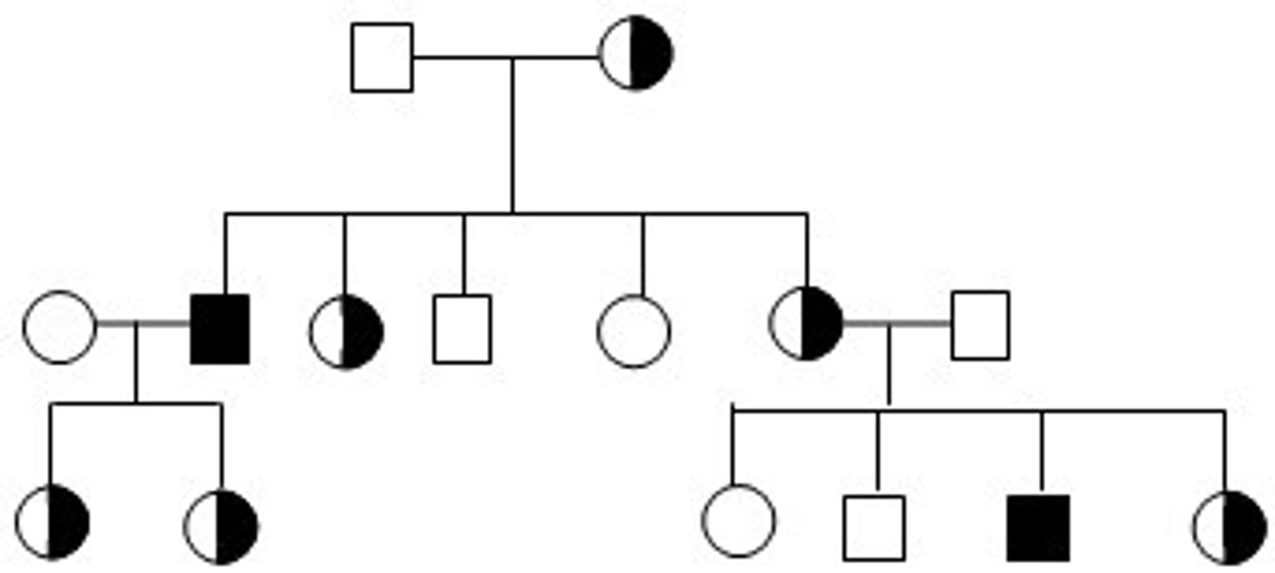 <p>There is NO father to son transmission; trait skips generations; there are more males than females affected</p>