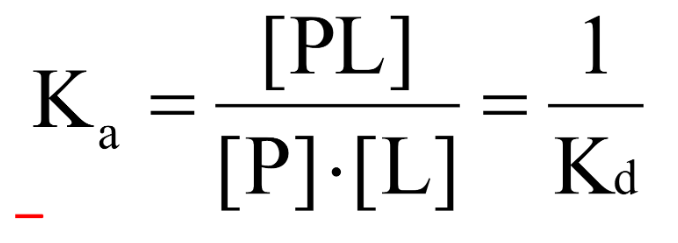 <p>The <strong><span style="color: blue">equilibrium association constant (ka)</span></strong> or the <strong><span style="color: blue">equilibrium dissociation constant (kd)</span></strong></p>