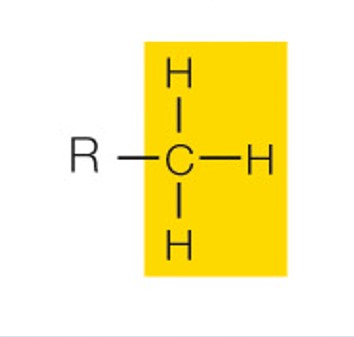 state the name and polarity of this functional group