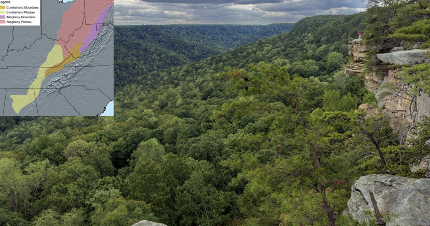 <p>stretching from Kentucky to Alabama, these open low mountains contain a mosaic of forest and woodland with some cropland and pasture. The eastern boundary of the ecoregion is relatively smooth, only slightly notched by eastward flowing streams. The western boundary next to the interior plateau has a rougher escarpment that is more deeply incised.</p>