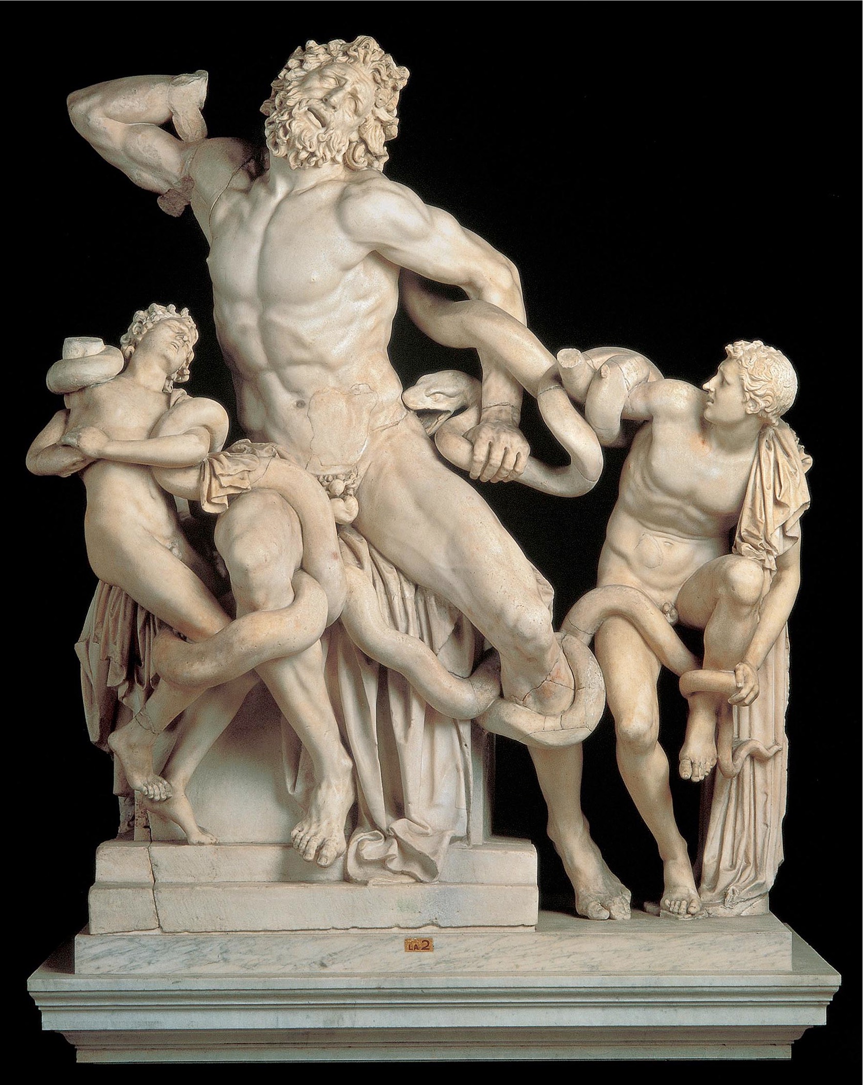 Laocoon and his Sons 