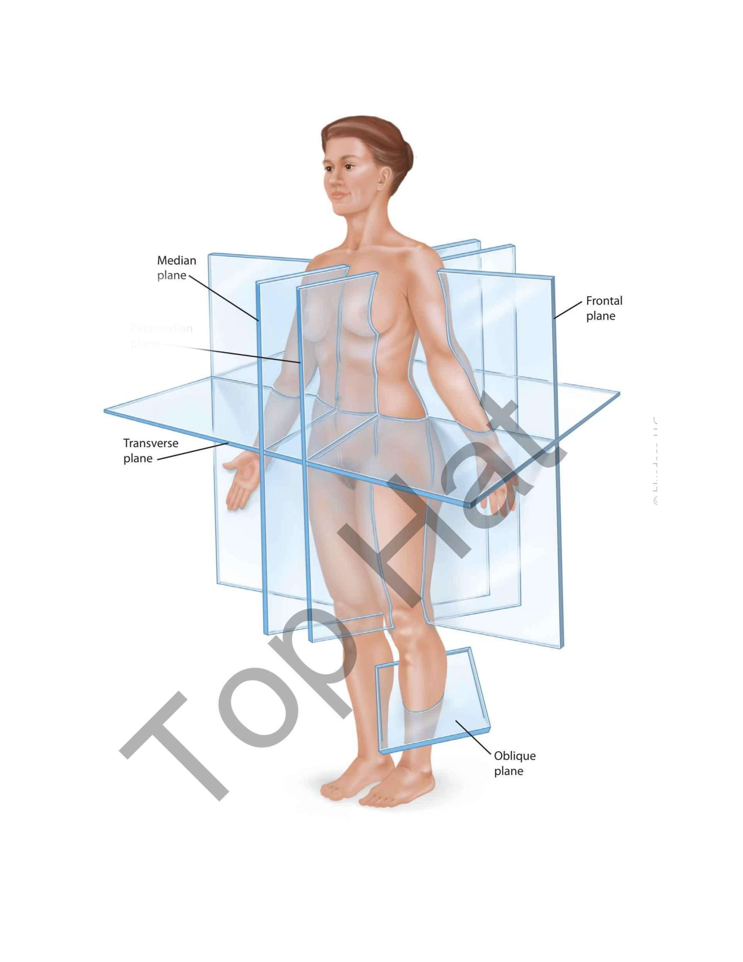 term image