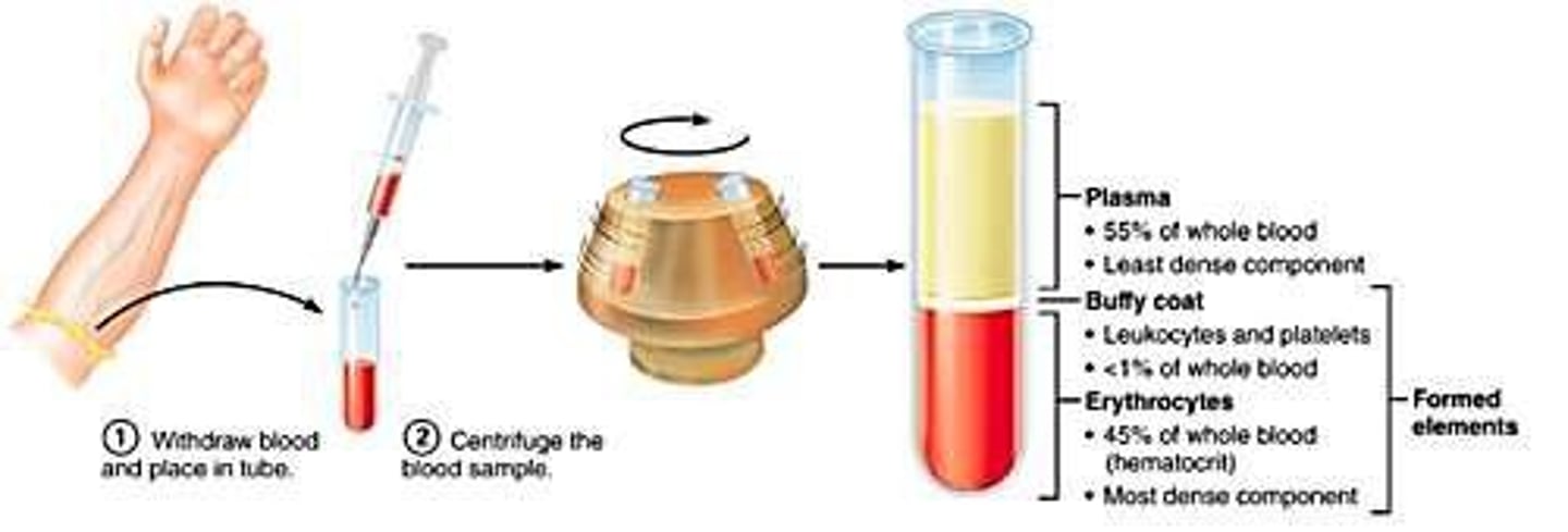 <p>Obtained from the intravascular space and measured for various components.</p>