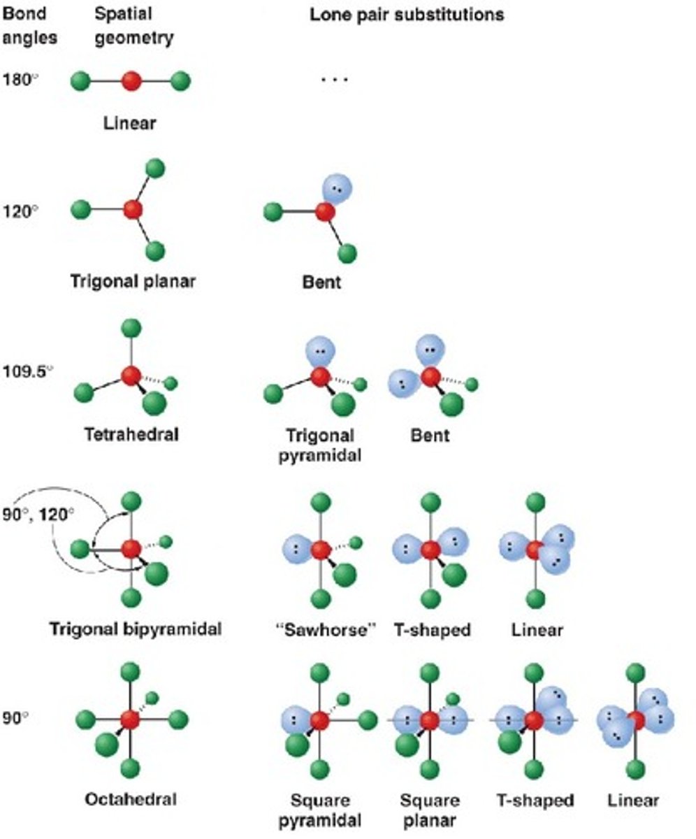 <p>sp for 2 groups, sp2 for 3 groups, sp3 for 4 groups</p><p>lone pairs determine molecular geometry: NH3 is trigonal pyramidal (sp3), H2O is bent (sp3), XeF4 is square planar (sp3d2), SF6 is octahedral (sp3d2)</p><p>octahedral is 6 bonds, 90 degrees (sp3d2)</p><p>sp3 to sp2 conversion to attain planarity and aromaticity (4n+2 electrons resonating in a ring)</p><p>amide N can convert from sp3 to sp2 to get resonance stabilized by carbonyl O</p><p>orbitals with more s character are more stable</p>
