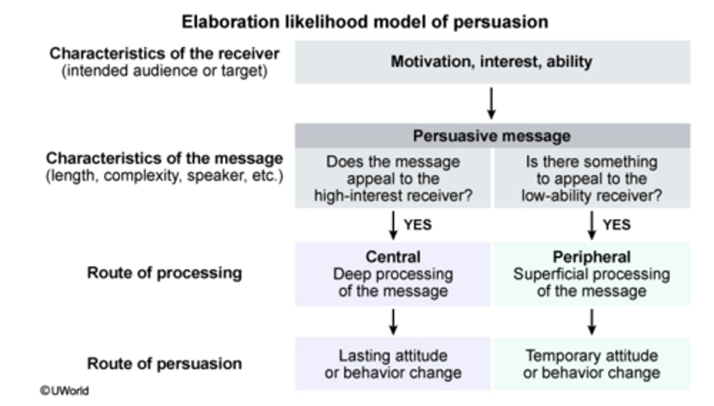 <p><span class="bgB">Central Route</span>: more effective when people are willing and able to pay attention to facts (educated doctor teaching medical students)</p><p></p><p><span class="bgB">Peripheral Route:</span> is more effective when people are not paying close attention to the message content</p><p>(celebrity advertising skincare product)</p>